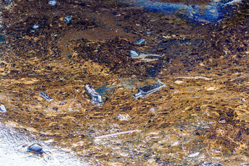 Ecological catastrophy. Close-up. Spill of oil products into the sea. Poisonous oil products float on the surface of the clean sea.