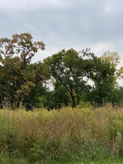 Scenic Minnesota Landscape in Early Autumn