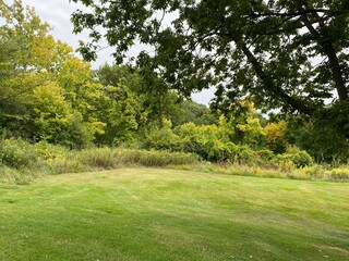 Scenic Minnesota Landscape in Early Autumn