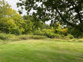 Scenic Minnesota Landscape in Early Autumn