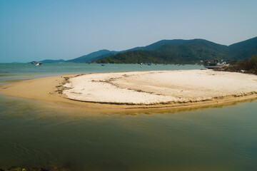 beach with trees river and sea 