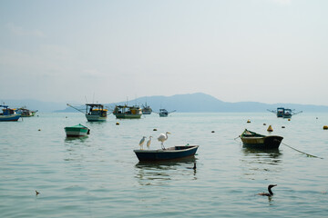 Fototapeta na wymiar fishing boats in the harbor with birds
