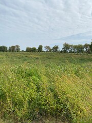 Scenic Minnesota Landscape in Early Autumn