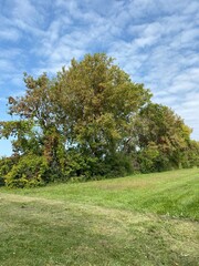 Scenic Minnesota Landscape in Early Autumn