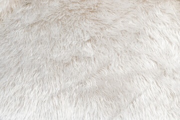 faux fur long hair white, background, place for text