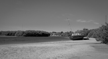 Beached until High Tide