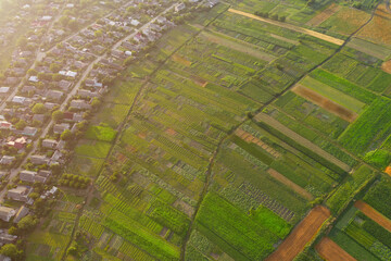 Many homesteads and identical houses. Aerial view.