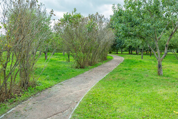 A path for pedestrians to walk in a modern green city park in the summer daytime