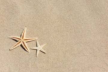 Fototapeta na wymiar Top view of two starfishes on beach sand. Travel and tourism. Copy space, flatlay