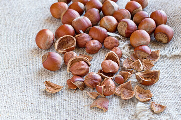 A pile of whole and split hazelnuts on sacking. Healthy, natural food