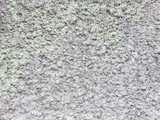 Texture of rough gray stucco wall. Decorative plaster on the wall.
