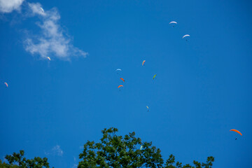 Sportsmen paragliding high in the blue clear sky