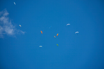 Sportsmen paragliding high in the blue clear sky