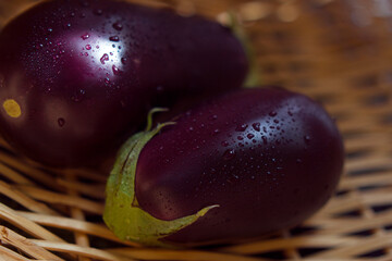 fresh eggplants with drops of water in the natural basket 