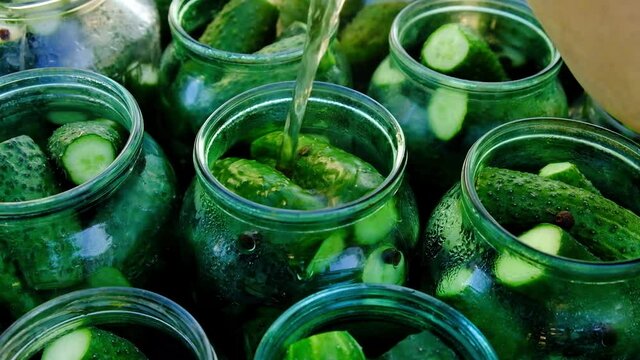 cucumber pickle is poured into a jar