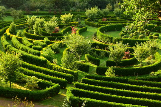 Arboretum Bramy Morawskiej &ndash; ogr&oacute;d botaniczny usytuowany we wschodniej części Raciborza obejmujący całym swoim zasięgiem las komunalny Obora. komunalny
Obora
krzewy
lato
