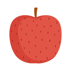 apple fruit fresh isolated design white background
