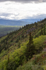 Aerial View. View of Canadian Mountain Landscape during a cloudy morning sunrise. Kluane National Park, Yukon, Canada.