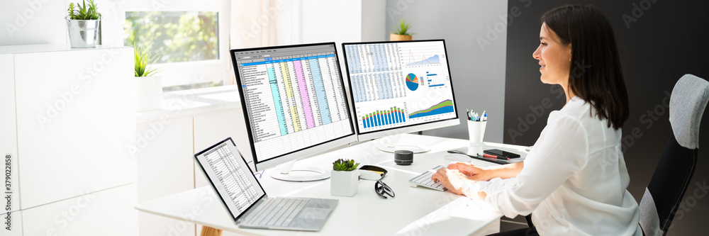 Poster Analyst Working With Spreadsheet Business Data
