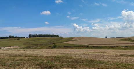 Obraz premium Rural landscape and blue sky in soybean production fields in southern Brazil