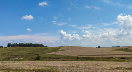 Fototapeta premium Rural landscape and blue sky in soybean production fields in southern Brazil