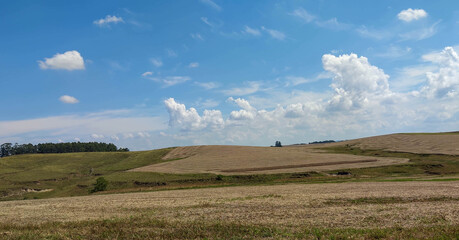 Fototapeta na wymiar Rural landscape and blue sky in soybean production fields in southern Brazil