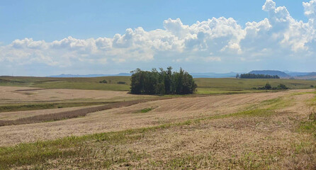 Fototapeta na wymiar Rural landscape in soybean production fields in southern Brazil