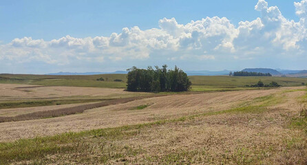 Rural landscape in soybean production fields in southern Brazil