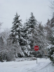 Stop Sign in Winter