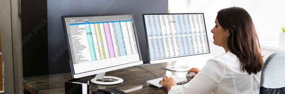 Poster analyst working with spreadsheet business data