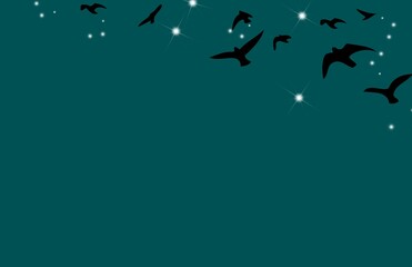 birds in the night