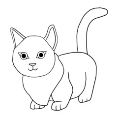 Realistic hand drawn cat. Vector character for printing, baby clothes, t-shirts, baby, pet shop