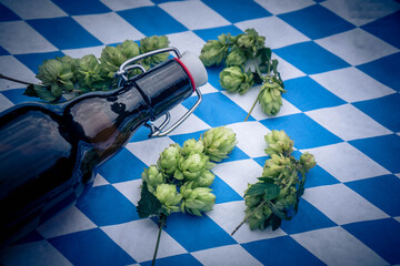 Hopfen - Humulus