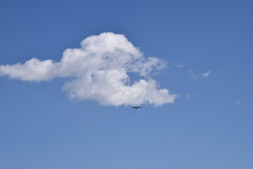 Landscape background material / Collaboration of blue sky, white clouds and natural landscape