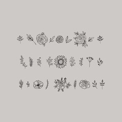 Hand Drawn Vector Floral elements. Botanical Illustrations. Herbs and Flowers.