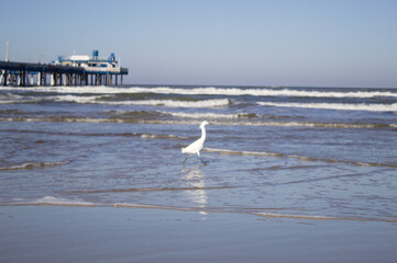 Maritime platform on Atlântida beach in the State of Rio Grande do Sul in Brazil