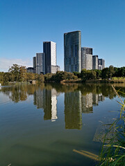 Fototapeta na wymiar Beautiful view of a lake with reflections of luxury high-rise building, blue sky, clouds, and trees on water, lake Pavillion, Sydney Olympic park, Sydney, New South Wales, Australia 