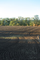 Sunset over a plowed field with brown soil. Beautiful autumn landscape.