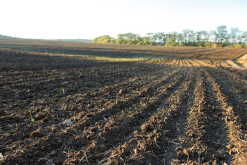 Sunset over a plowed field with brown soil. Beautiful autumn landscape.