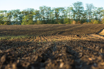 Sunset over a plowed field with brown soil. Beautiful autumn landscape.