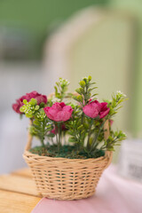 pink roses in a basket