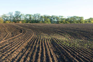 Sunset over a plowed field with brown soil. Beautiful autumn landscape.