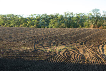 Sunset over a plowed field with brown soil. Beautiful autumn landscape.