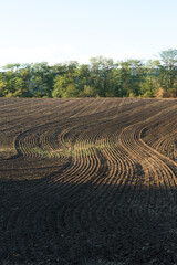 Sunset over a plowed field with brown soil. Beautiful autumn landscape.