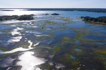 Salt marshes and estuaries are found throughout Cape Cod, Massachusetts. They provide calm nesting, feeding and breeding habitat for a variety of birds, fish, and marine invertebrates. 