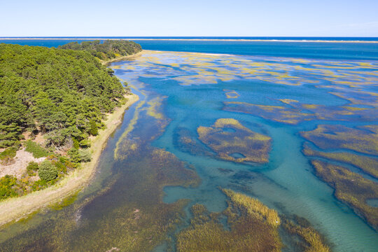 Salt marshes and estuaries are found throughout Cape Cod, Massachusetts. They provide calm nesting, feeding and breeding habitat for a variety of birds, fish, and marine invertebrates. 