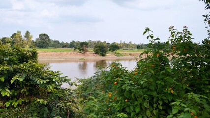 Bank of river, sky and series of trees