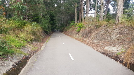 The Fernleigh Track a Walking and Bike Track in Newcastle New South Wales Australia. A disused railway track