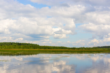 Fototapeta na wymiar Landscape on a wild forest lake on a quiet summer day