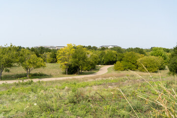 Fototapeta premium landscape with flowers and trees